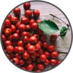 vigrxplus-ingredient-hawthorn-berry
